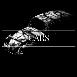 Peter LaGreca Car Enthusiast